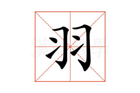 羽字邊的字|部首為羽的字